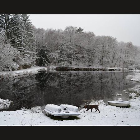 Cabane Limousine Au Bord D'Un Etang Bonnac-la-Côte Extérieur photo