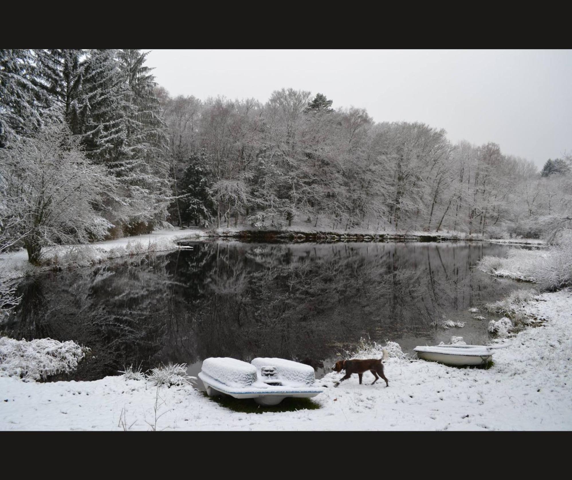 Cabane Limousine Au Bord D'Un Etang Bonnac-la-Côte Extérieur photo