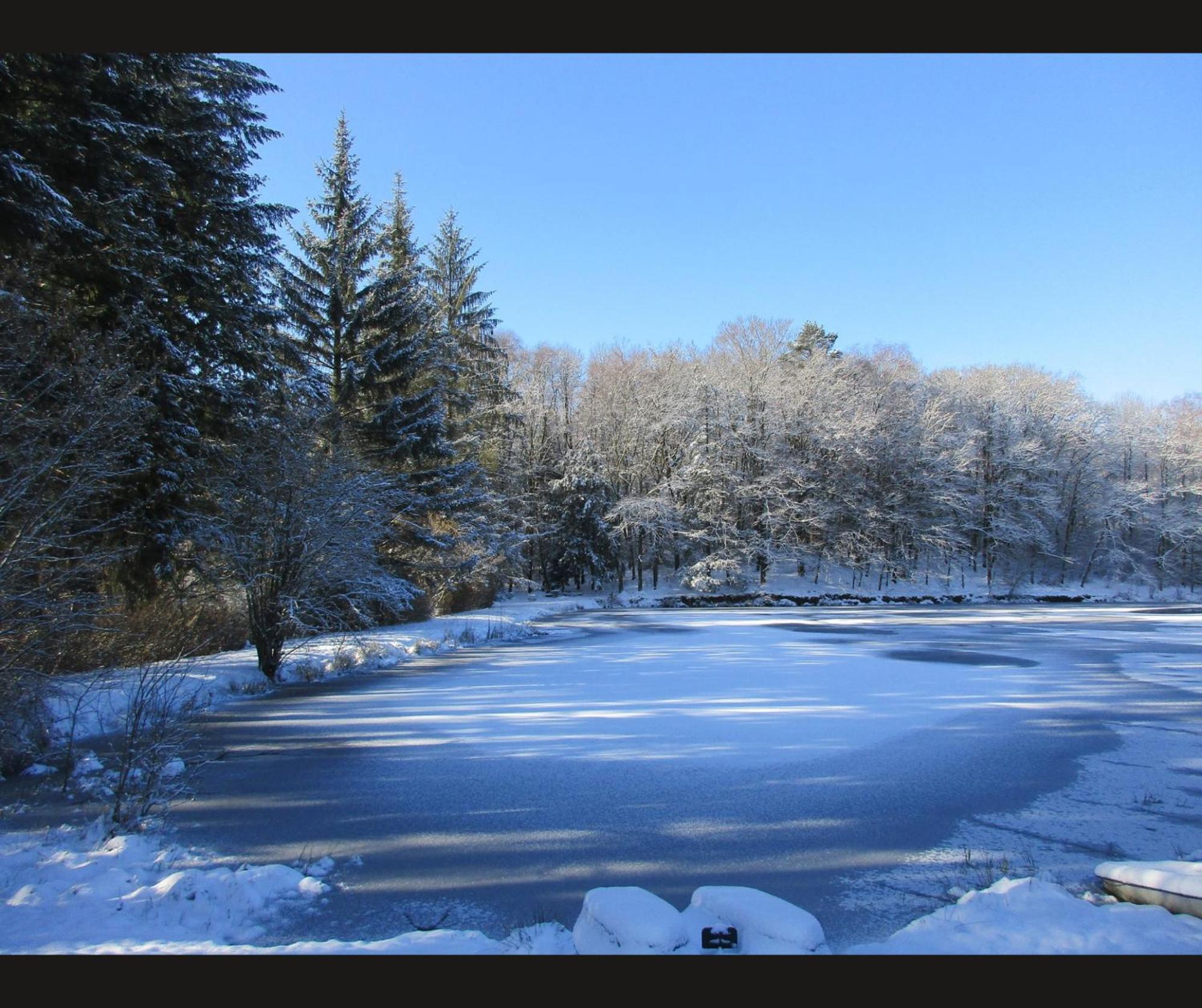 Cabane Limousine Au Bord D'Un Etang Bonnac-la-Côte Extérieur photo